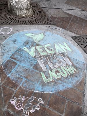Dibujos con gises en la banqueta at Laguna Vegana in Torreon
