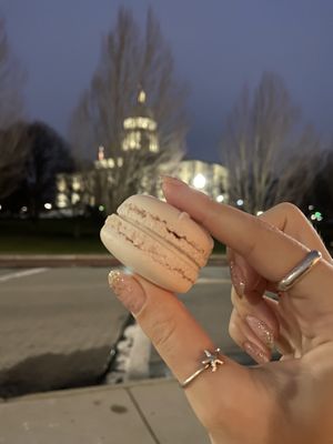 Pomegranate macaron  at Plant City in Providence