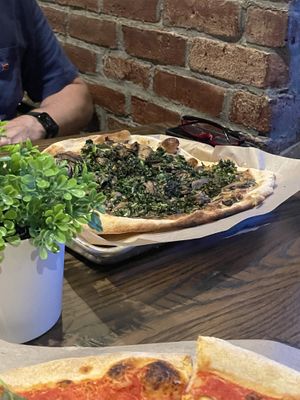   at Plant City in Providence