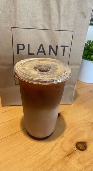   at Plant City in Providence