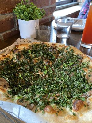   at Plant City in Providence