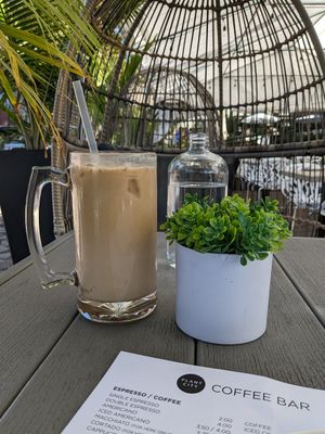 LARGE coffee at Plant City in Providence