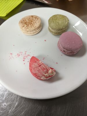 Macarons at Plant City in Providence
