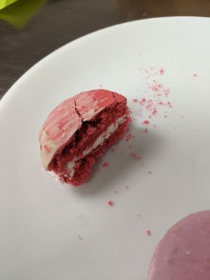 Cross cut macaron at Plant City in Providence