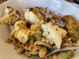 Make your own bowl   at Plant City in Providence