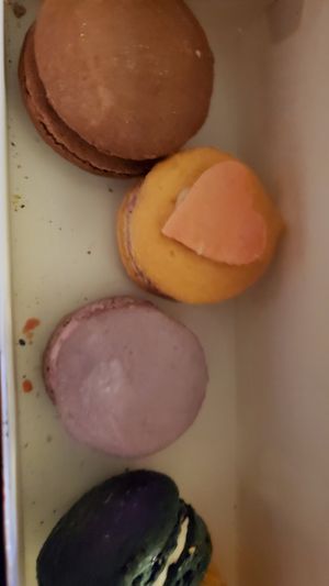  at Plant City in Providence