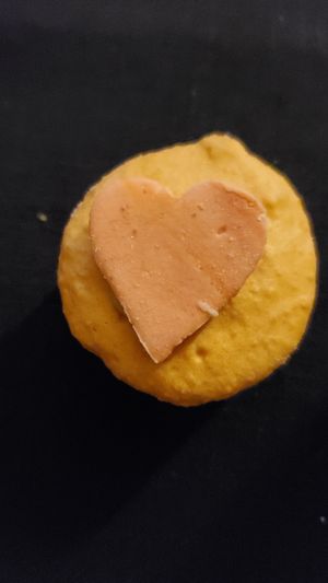  at Plant City in Providence