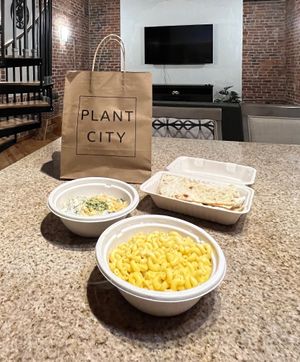 New Burger Mac n Cheese & Double Zero Warm Creamed Spinach Dip & Toasted Flatbread at Plant City in Providence