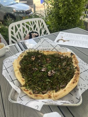   at Plant City in Providence