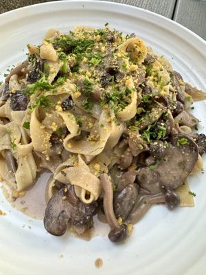 Tagliatelle with wild mushrooms - my fave!  at Plant City in Providence