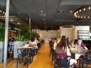 Double Zero at Plant City in Providence