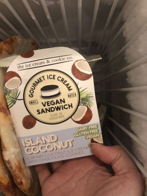 vegan flavour: island coconut at Food in The Woods 小树林 in Northeast Singapore