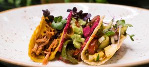 Filled Tacos at Plant-Based Kochschule in Hannover