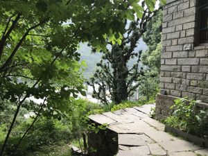garden  at Seed Cafe  in Manali
