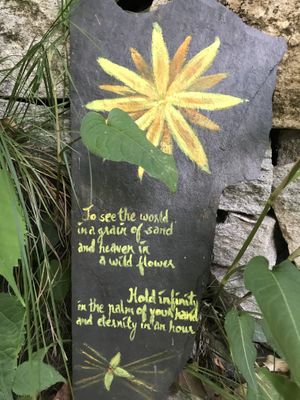 you can find nice quotes around the garden  at Seed Cafe  in Manali