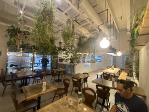   at Wild & The Moon - Emmar in Dubai