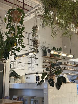   at Wild & The Moon - Emmar in Dubai