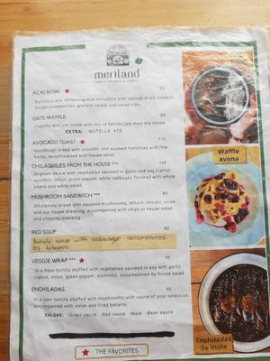 Vegan menu at Meriland in Merida