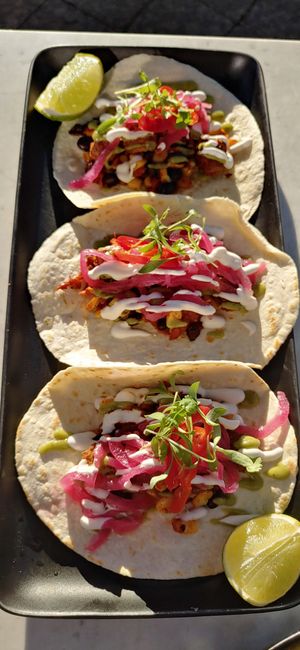 Toco at LOV in Brossard