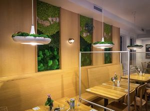 interiors   at Hello 123 in Montreal