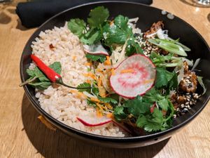 Shitake Tau at Hello 123 in Montreal