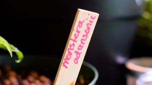 interior at Galaxy Rune in Seattle