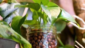 interior at Galaxy Rune in Seattle