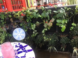 Decor outside at Vegano Vacano in Bucaramanga