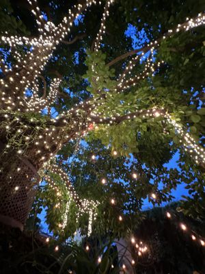 The tree #Veganuary at Nic's on Beverly in Los Angeles