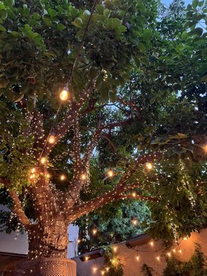 The tree  at Nic's on Beverly in Los Angeles