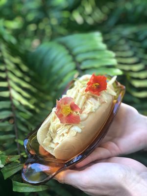 Nah Dogs, Vegan Hot Dog Cart at Nah Dogs in St Petersburg