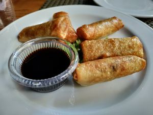 Spring rolls at Vegan In Our House in Cairo