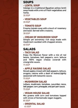 The updated menu. Part 1 #Veganuary at Vegan In Our House in Cairo
