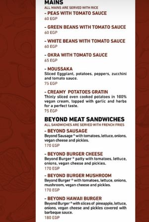 The updated menu. Part 2 #Veganuary at Vegan In Our House in Cairo