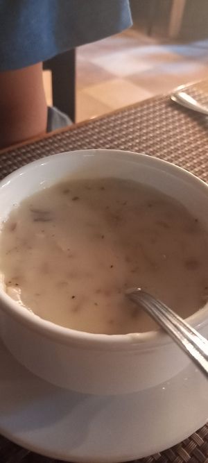  at Vegan In Our House in Cairo