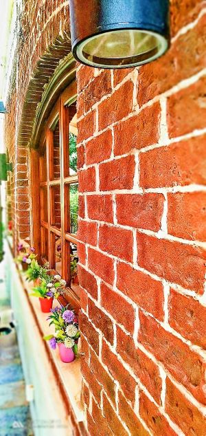 Vegan In Our House 
Out side " Terrace"  at Vegan In Our House in Cairo