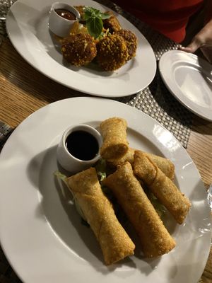 Vegan spring rolls and nuggets  at Vegan In Our House in Cairo