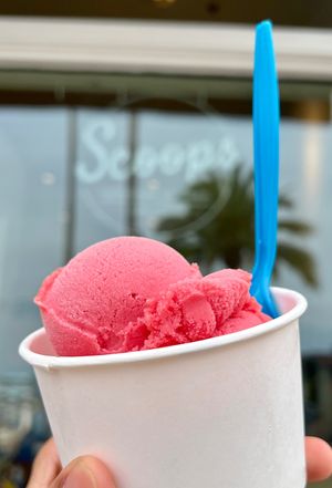 at Scoops in Santa Catalina Island