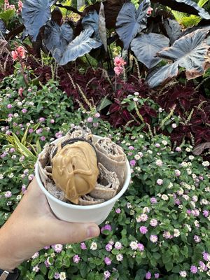 Vegan Chocolate ice cream base with Oreos and peanut butter   at Simply Rolled in Cincinnati