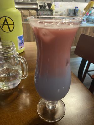 Twilight Moon Milk at Javalato in Colorado Springs