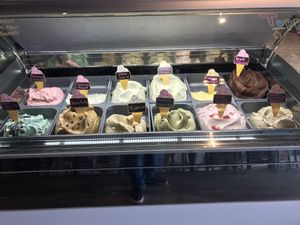 Vegan Chocolate & Vegan Toasted Almond on the right at Javalato in Colorado Springs