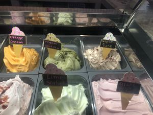 Gelato at Javalato in Colorado Springs