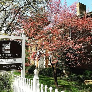 Old Caledonian - from its facebook at Old Caledonian Bed & Breakfast in Caledonia