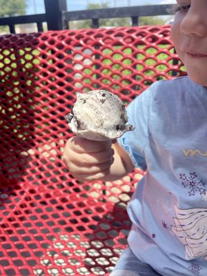 Children under a certain height get a free “baby cone”. The employees were unsure if the cone itself was vegan so we skipped eating the cone.   at Bruster's Real Ice Cream in Glendale