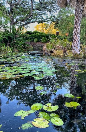 Sit under the trees and enjoy Ulele Spring.  at Ulele in Tampa