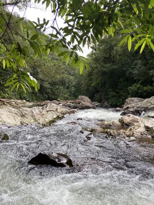 Não deixe de visitar as cachoeiras!  at Permita Ser in Santa Catarina