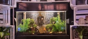  at TofuKfe in Mexico City