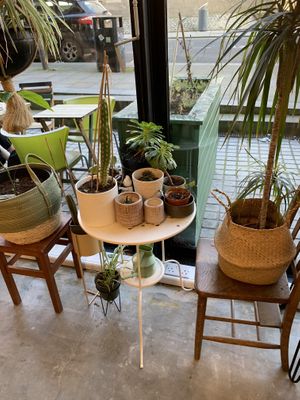 At least the plants are sweet!   at Lovelocks in Liverpool