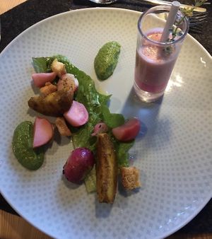 Radieschen-Vorspeise at aufatmen in Leutasch