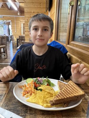 Vegan and quorn cheese toastie  at Flicka Donkey Sanctuary in Penryn
